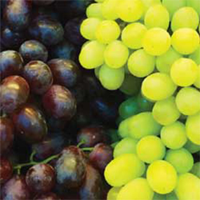 01-Grapes