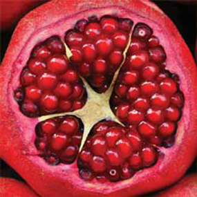 05-Pomegranate